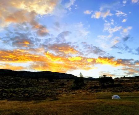 Ponderosa Campground