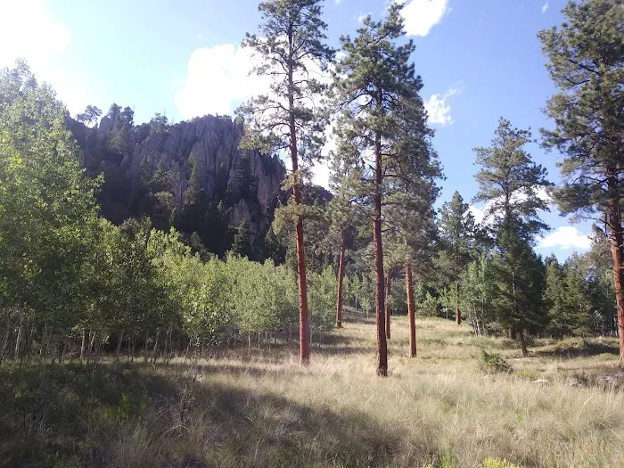 Ponderosa Campground Picture 5