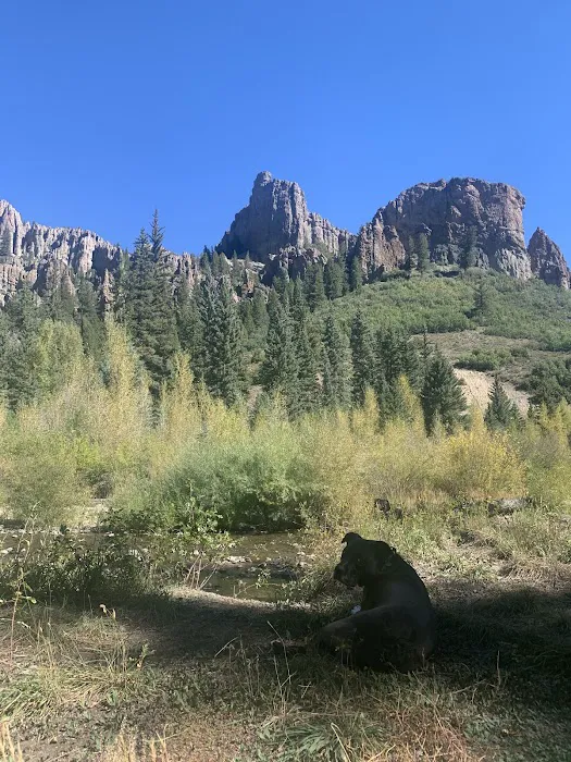 Soap Creek Campground Picture 6