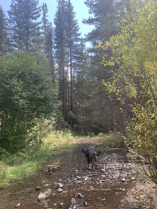 Soap Creek Campground Picture 8
