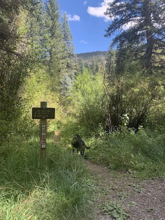 Soap Creek Campground Picture 5