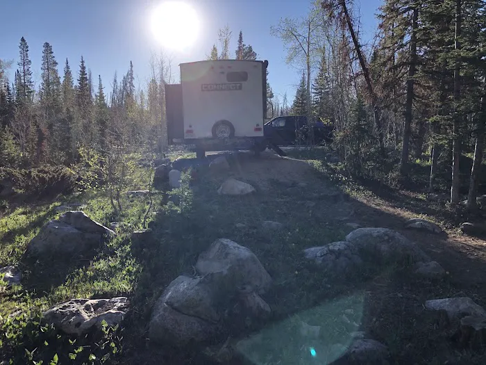 Bow River Campground Picture 1