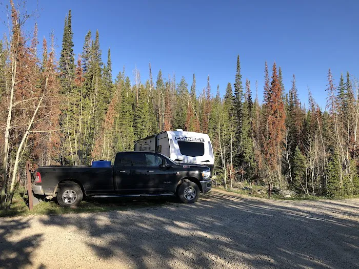 Bow River Campground Picture 5