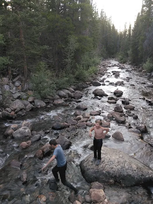 Bow River Campground Picture 4