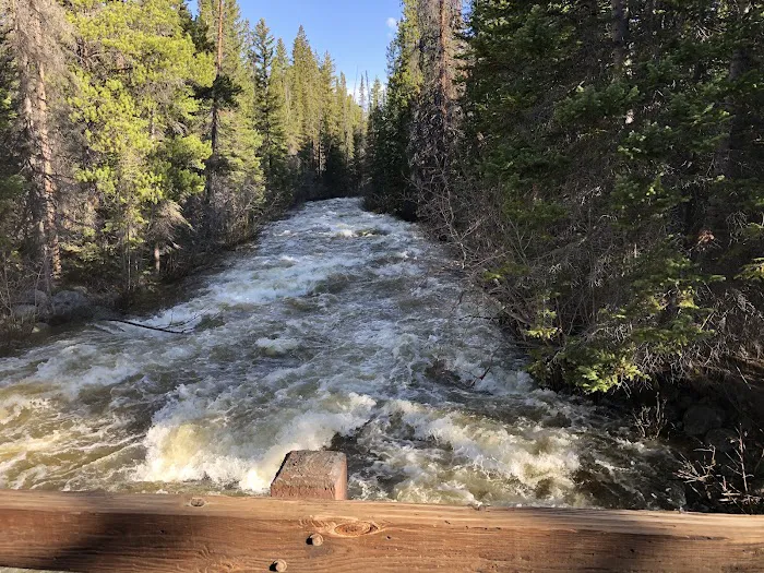 Bow River Campground Picture 10