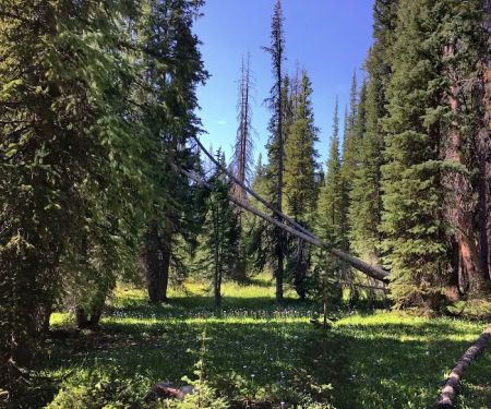 Deep Creek Campground