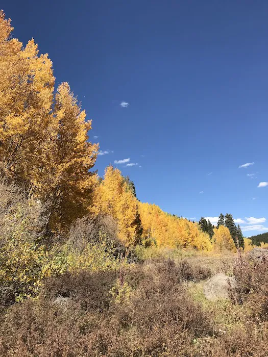 Carson Lake Recreation Area Picture 3
