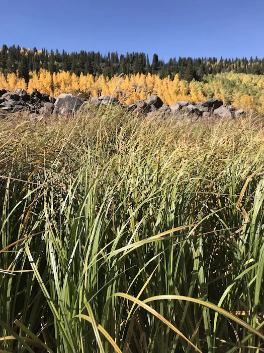 Carson Lake Recreation Area Picture 5
