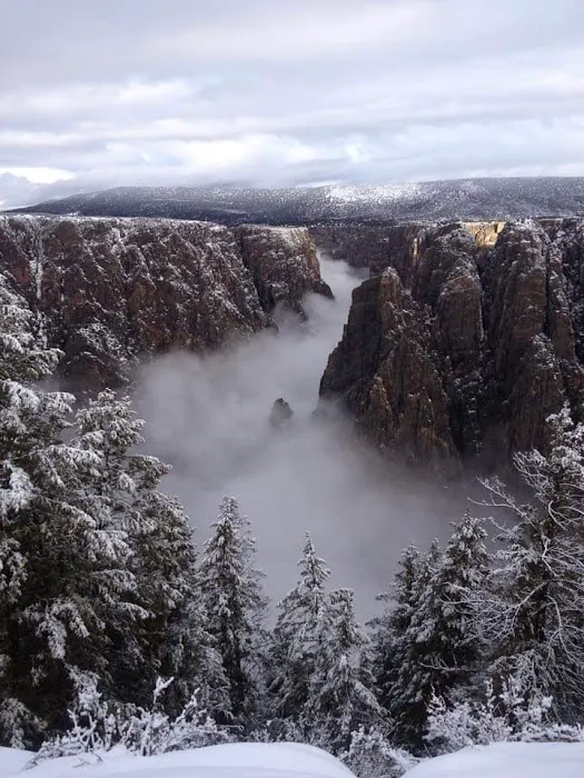 Black Canyon Of The Gunnison County Camp Grounds Picture 1