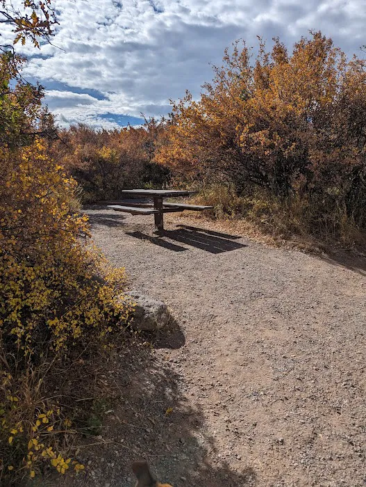 Black Canyon Of The Gunnison County Camp Grounds Picture 7