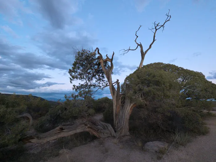 Black Canyon Of The Gunnison County Camp Grounds Picture 3