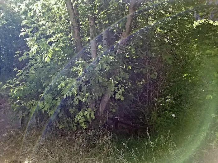 East Portal Campground Picture 9