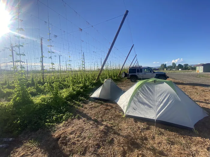 Down at the Hop Yard Camping Picture 4