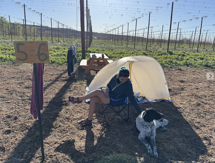 Down at the Hop Yard Camping Picture 9