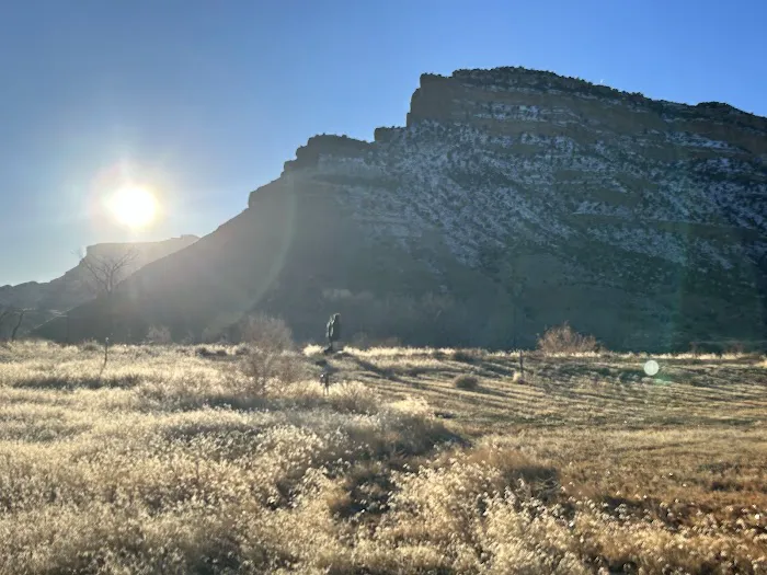 James M. Robb Colorado River State Park - Island Acres Section Picture 9