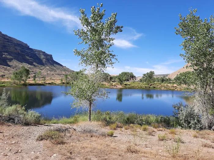 James M. Robb Colorado River State Park - Island Acres Section Picture 4