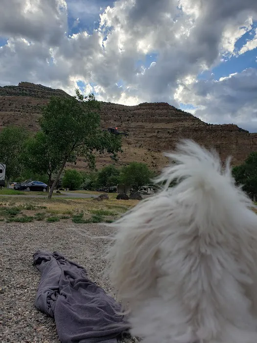 James M. Robb Colorado River State Park - Island Acres Section Picture 6