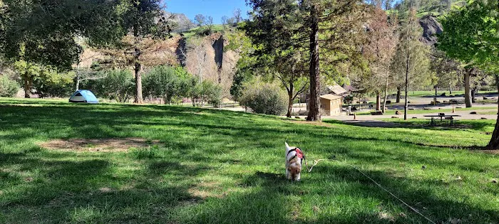 Cache Creek Regional Park Middle Campground Park Site Picture 7