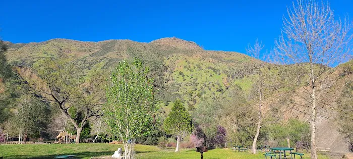 Cache Creek Regional Park Middle Campground Park Site Picture 10