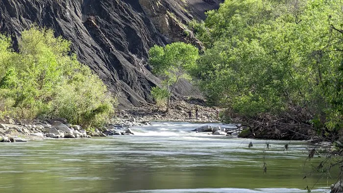 Cache Creek Regional Park Middle Campground Park Site Picture 6