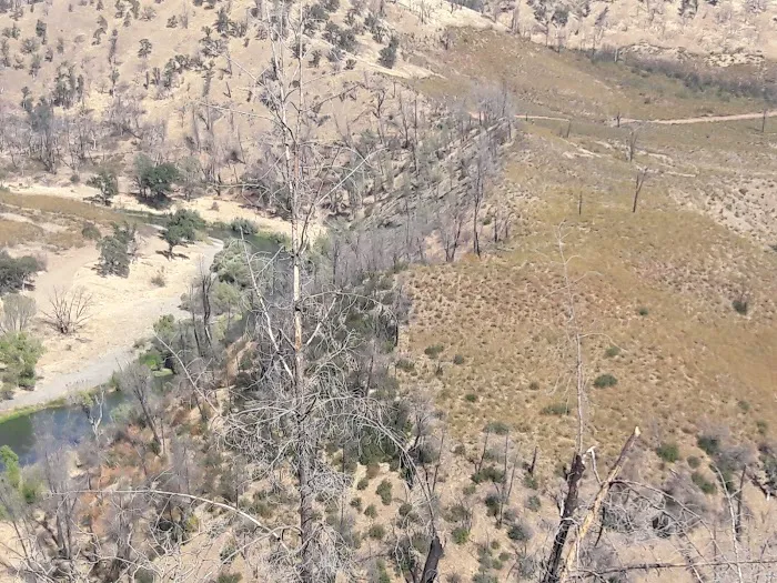 Buck Island Campground Picture 6