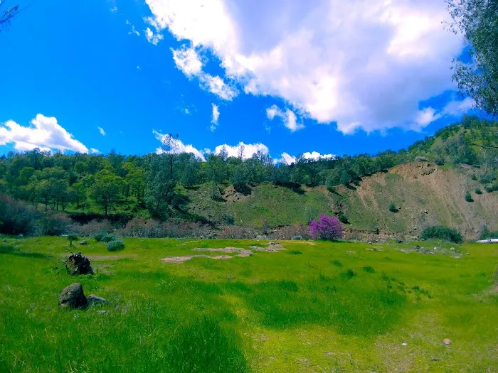 Bear Creek Campground Picture 4