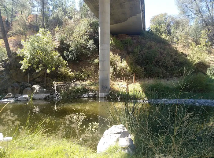 Bear Creek Campground Picture 3
