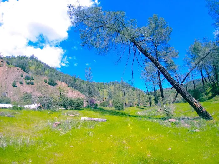 Bear Creek Campground Picture 7