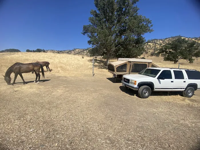 Cowboy Camp Picture 1