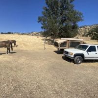 Cowboy Camp ico