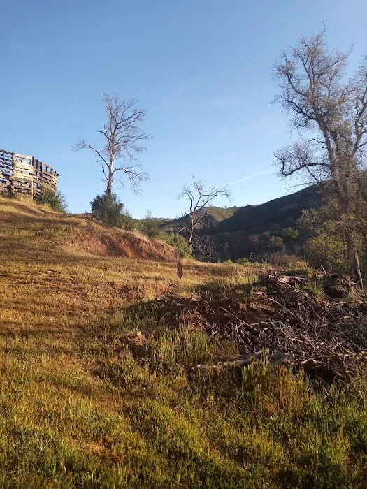 Ravens Landing Picture 4