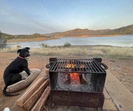 Blue Oak Campground