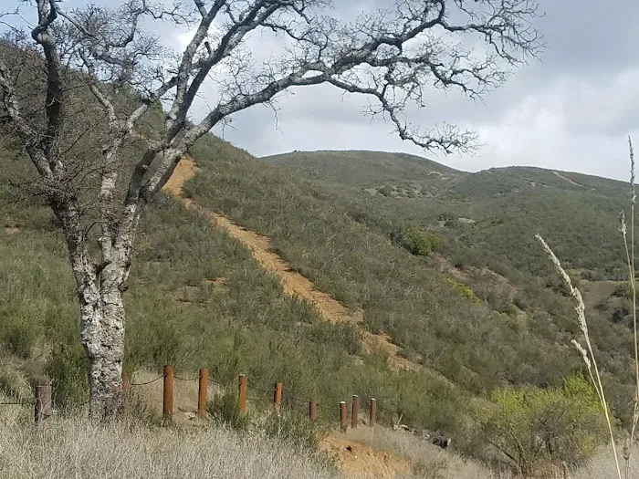 Blue Oak Campground Picture 4