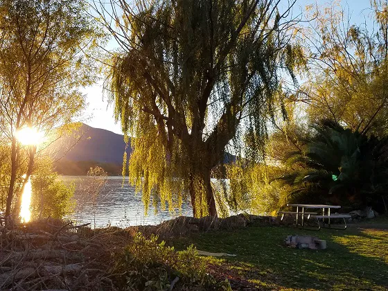 The Oasis Campground Picture 4