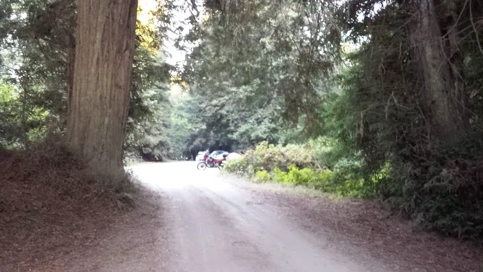 Reef Campground Picture 2