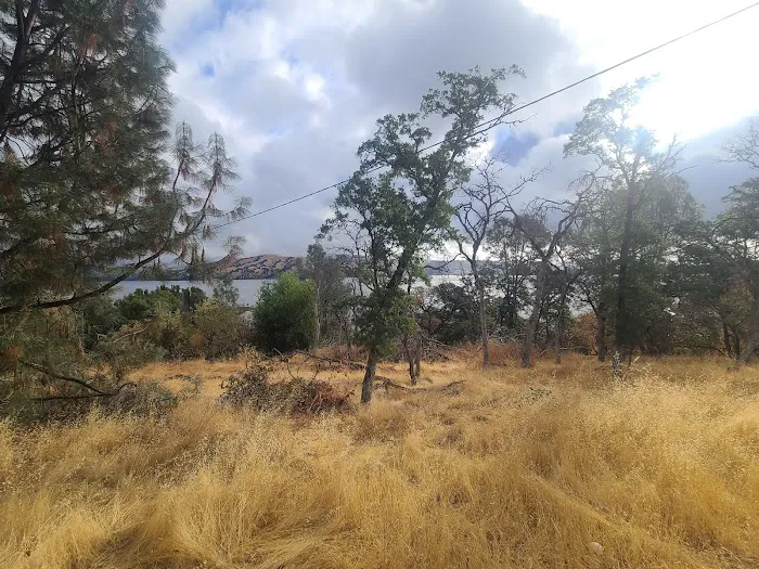 Lower Bayview Campground Picture 9
