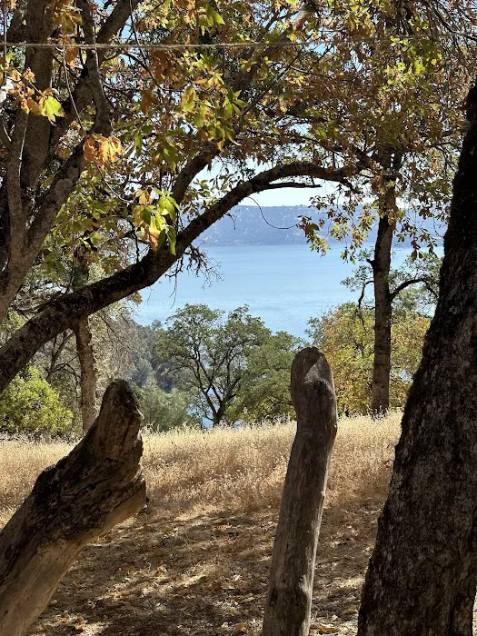 Upper Bayview Campground Picture 1