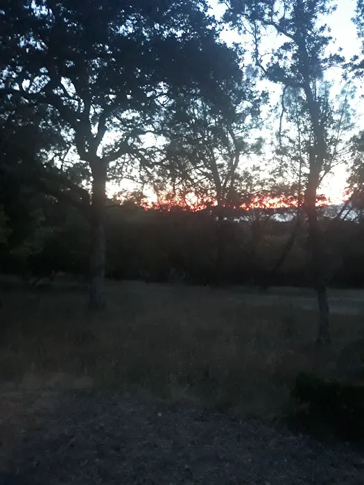 Upper Bayview Campground Picture 4