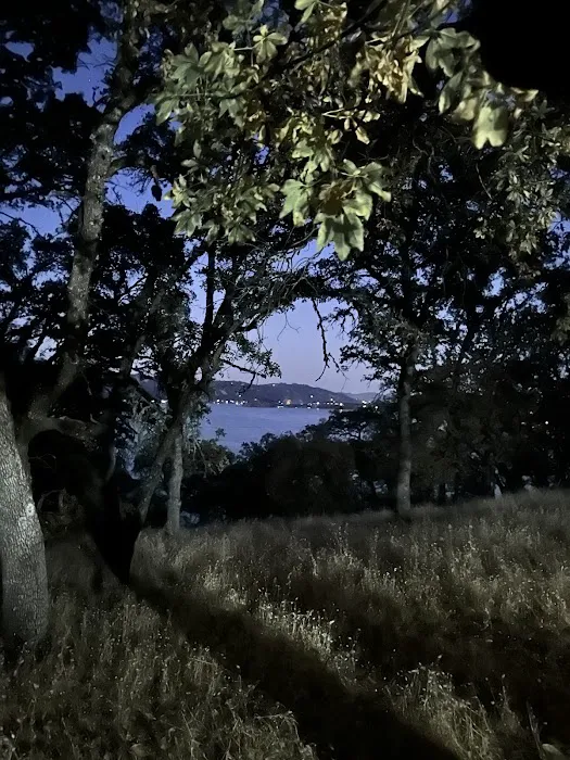 Upper Bayview Campground Picture 6