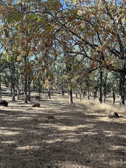 Upper Bayview Campground Picture 10