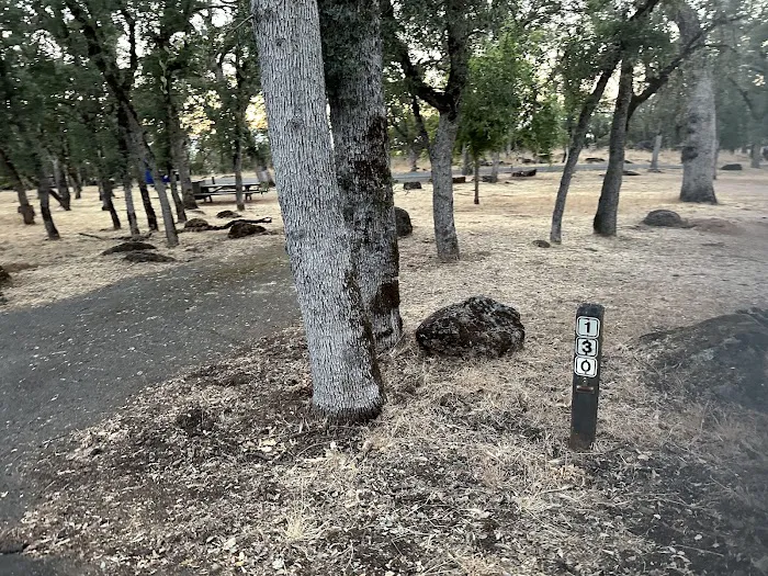 Upper Bayview Campground Picture 7