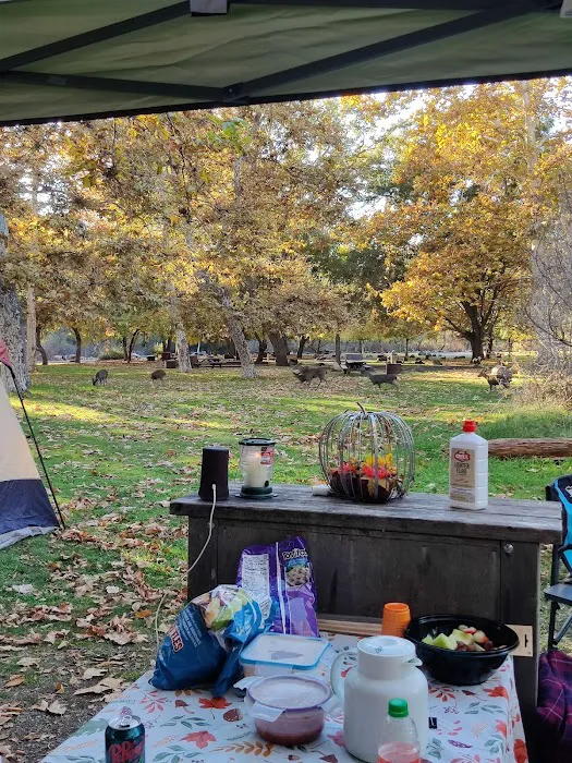 Kelsey Creek Campground Picture 5
