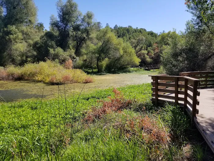 Kelsey Creek Campground Picture 7