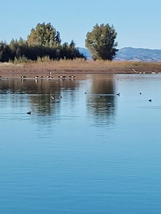 Kelsey Creek Campground Picture 3