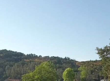 Boat-In Sites (LakeSonoma)