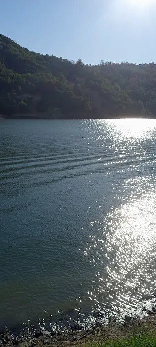 Boat-In Sites (LakeSonoma) Picture 3