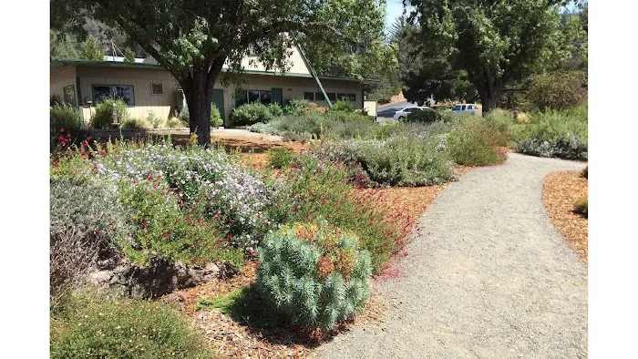 Cloverdale Healdsburg Campground Picture 2