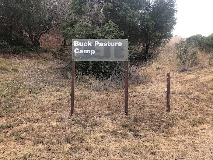 Buck Pasture Picture 1