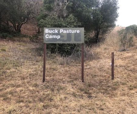 Buck Pasture