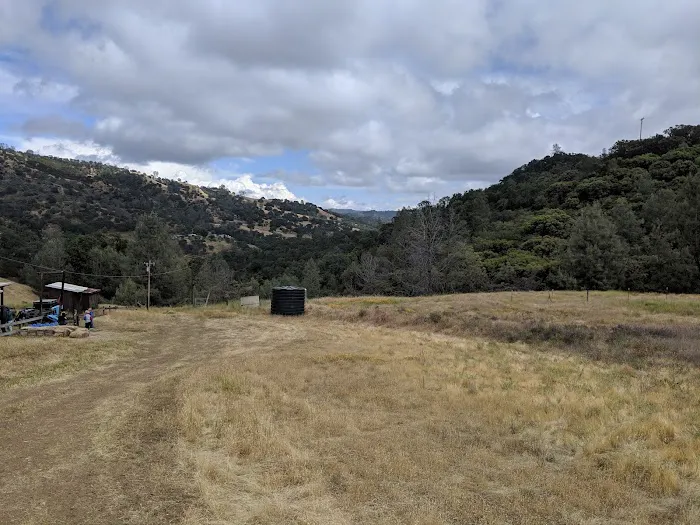 Manzanita Flats Picture 3